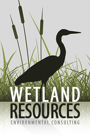 Wetland Resources